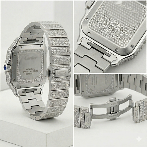 VVS MOIS WATCH